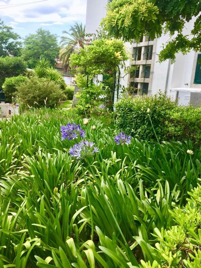 Cascais Seaside Garden Villa Buitenkant foto