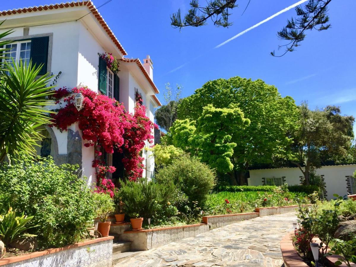 Cascais Seaside Garden Villa Buitenkant foto